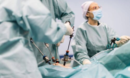Bariatric surgeons performing surgery (2) Bariatric surgeons performing surgery (2)